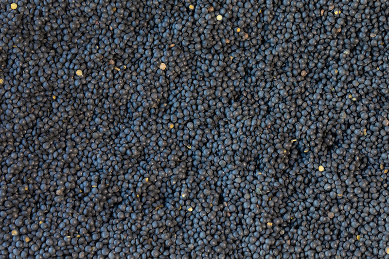 Rancho Gordo Black Caviar Lentil