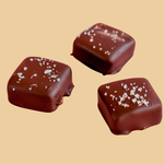 Sea Salt Caramel in 70% Dark Chocolate, 2pc Box