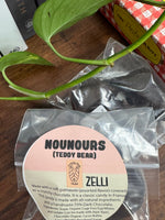 Nounours (Teddy Bear) - Chocolate covered Marshmallows